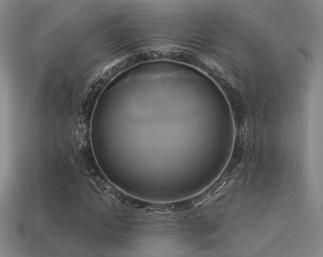 X0000113220822200909101148