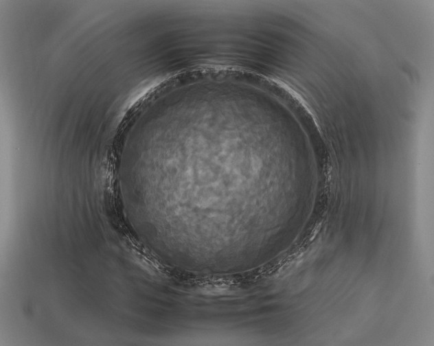 X0000113220823200909101148