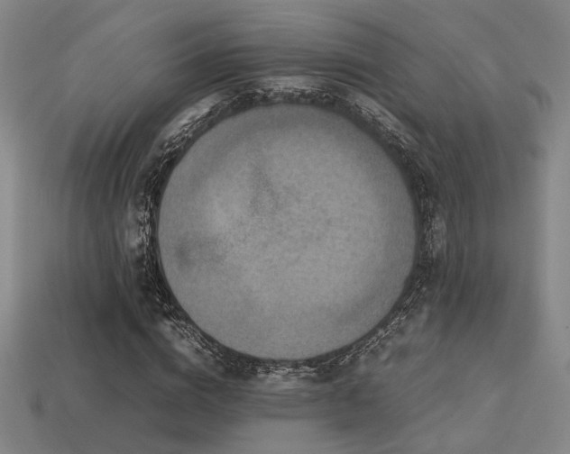 X0000113220824200909101148