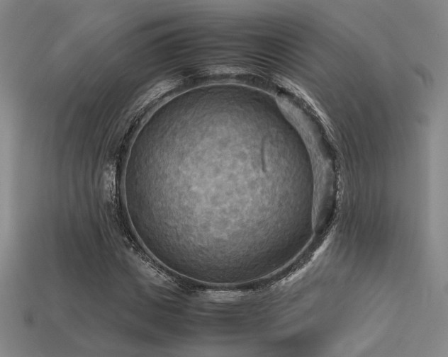 X0000113220825200909101148
