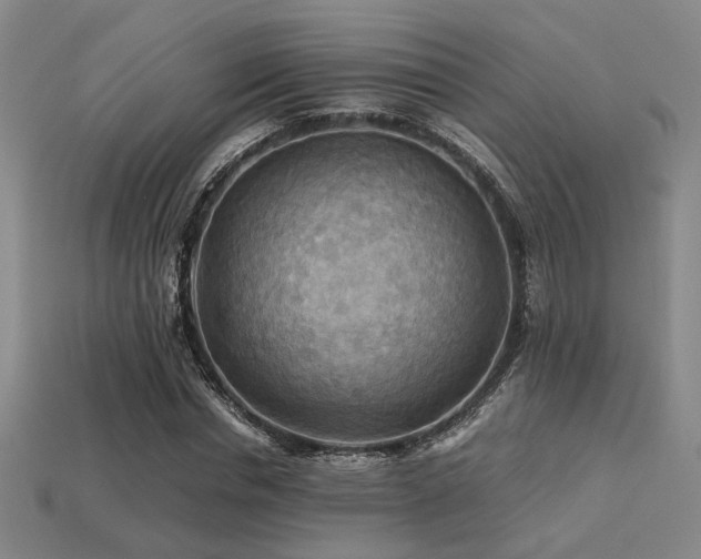 X0000113220826200909101148