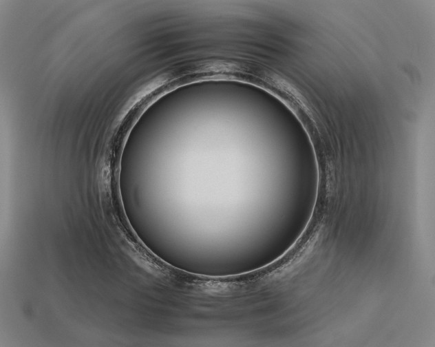X0000113220827200909101148