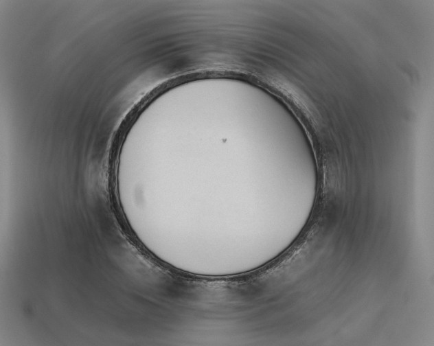 X0000113220828200909101148