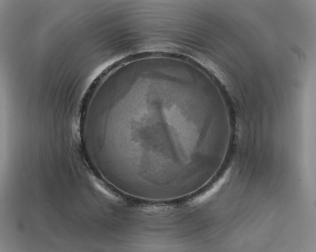 X0000113220830200909101148