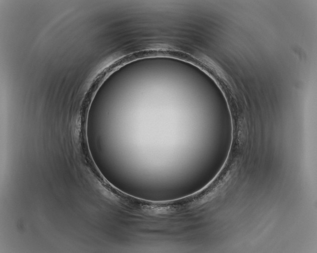 X0000113220831200909101148