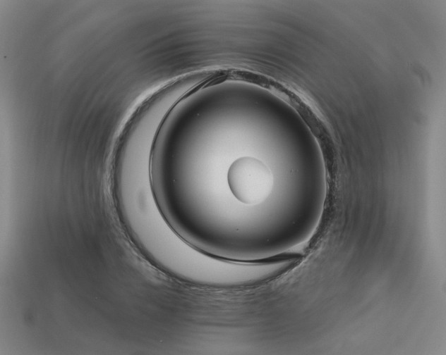X0000113220832200909101148