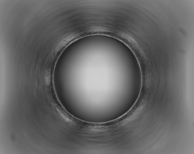 X0000113220833200909101148
