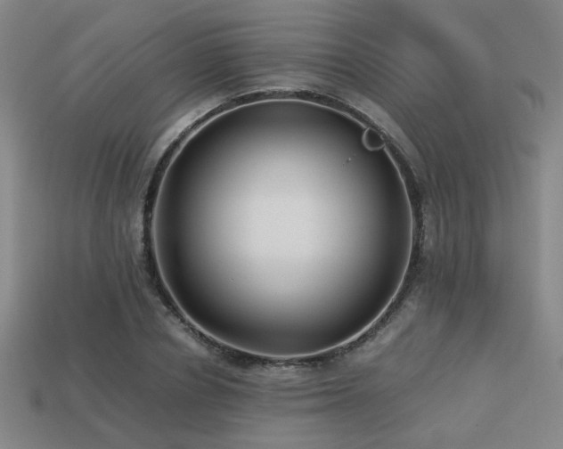 X0000113220834200909101148