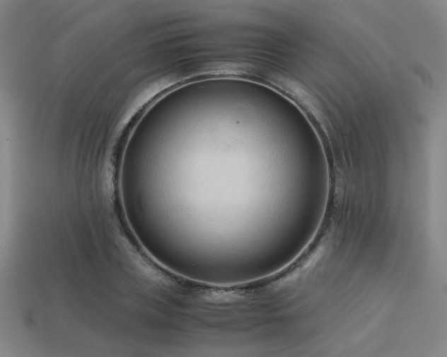 X0000113220835200909101148