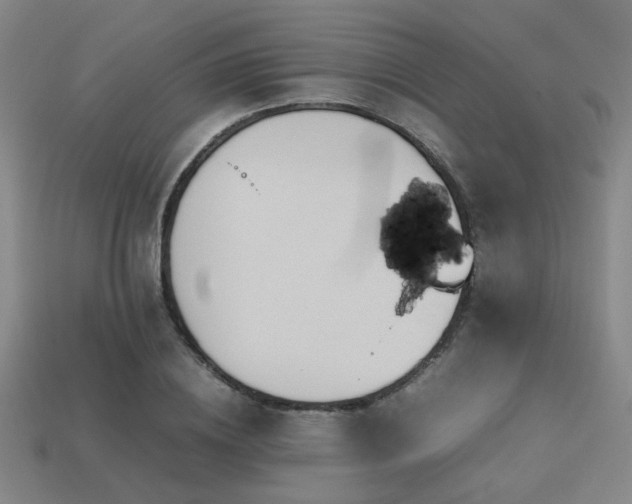 X0000113220836200909101148