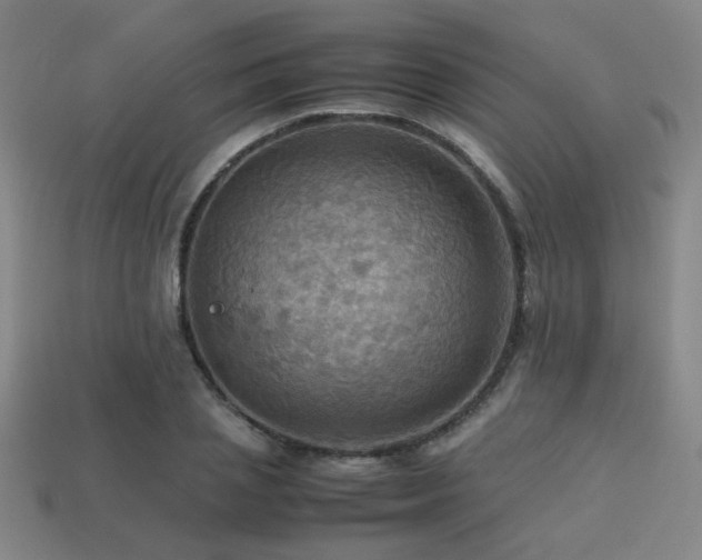 X0000113220837200909101148