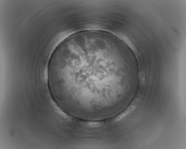 X0000113220839200909101148