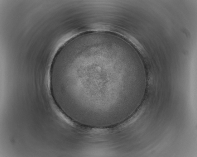 X0000113220840200909101148