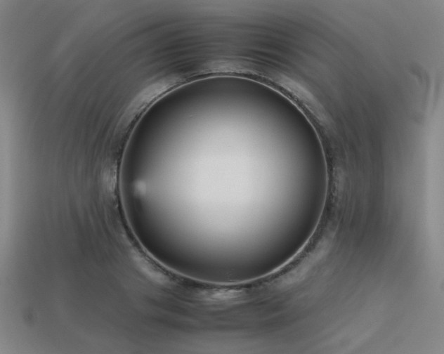 X0000113220841200909101148