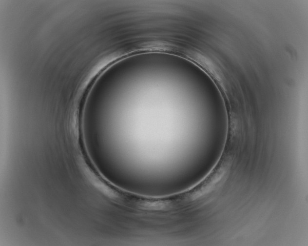 X0000113220843200909101148
