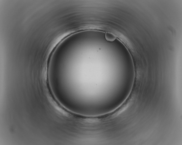 X0000113220844200909101148