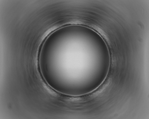 X0000113220845200909101148