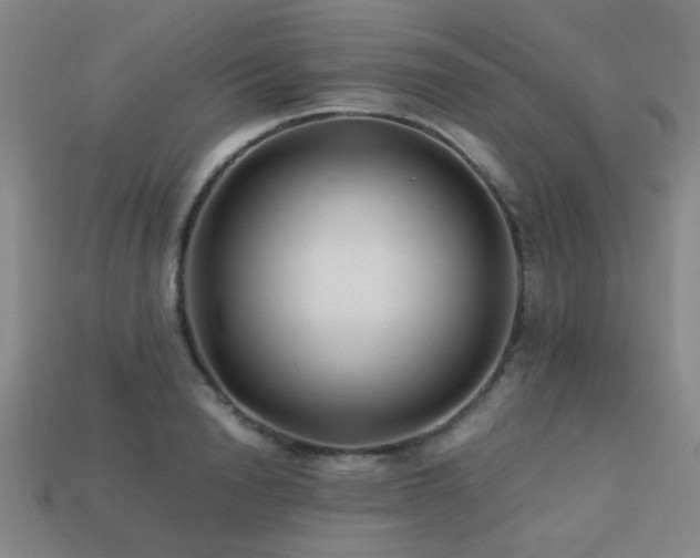 X0000113220846200909101148