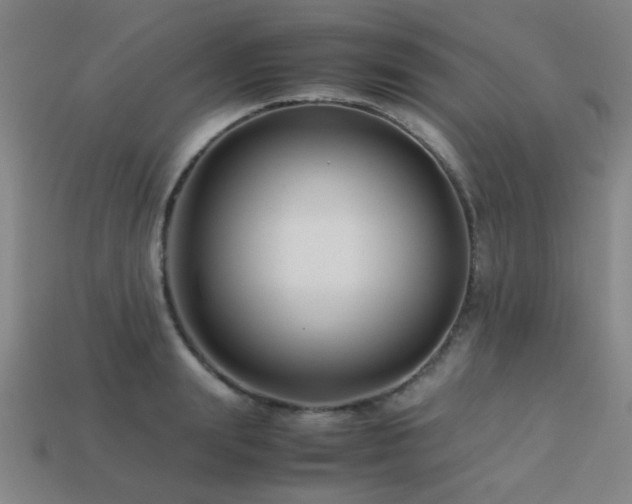 X0000113220847200909101148