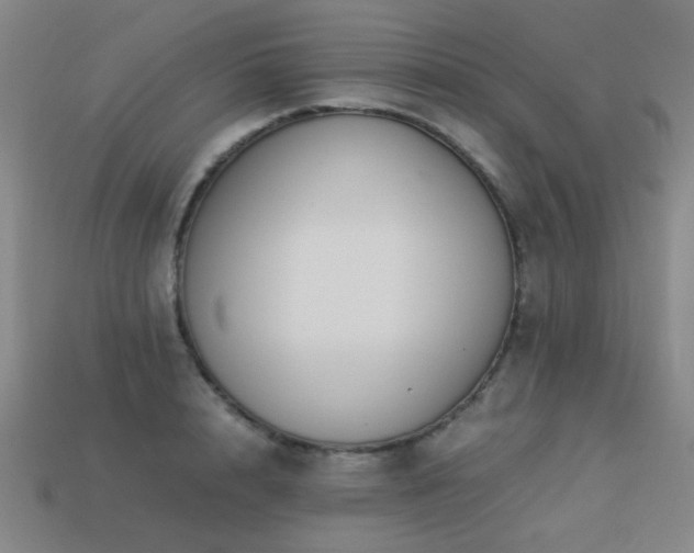 X0000113220848200909101148