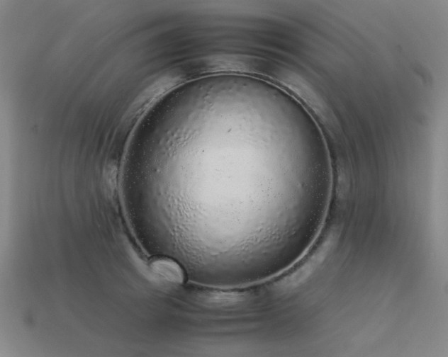 X0000113220849200909101148