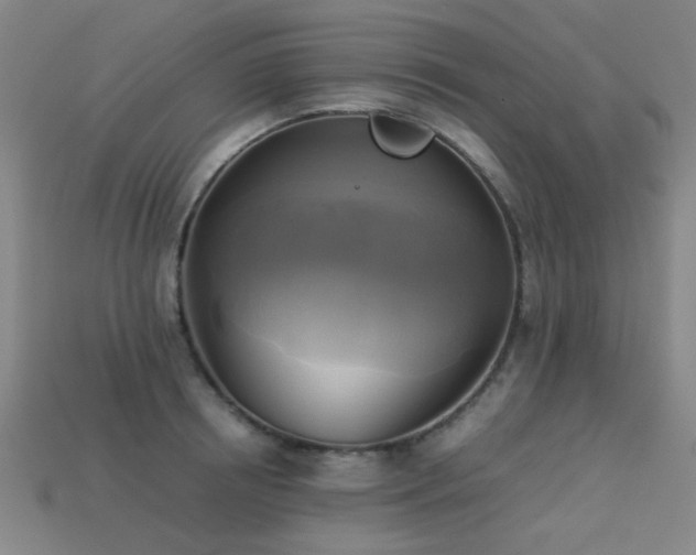 X0000113220850200909101148
