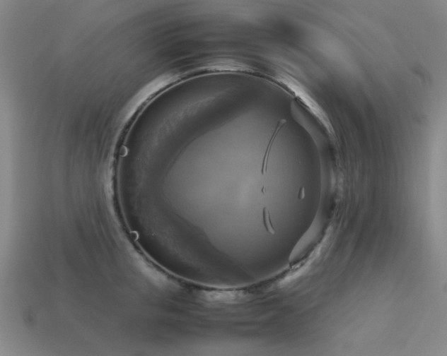 X0000113220853200909101148