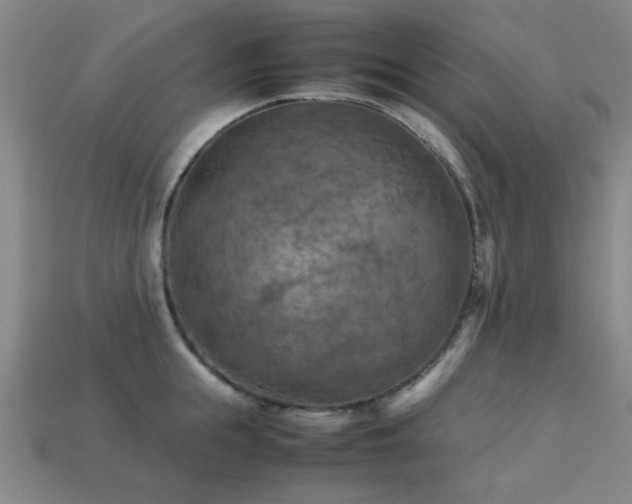 X0000113220855200909101149