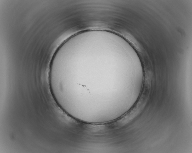 X0000113220856200909101149