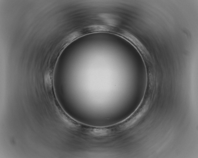 X0000113220857200909101149
