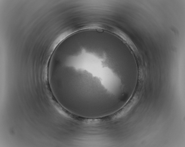 X0000113220858200909101149