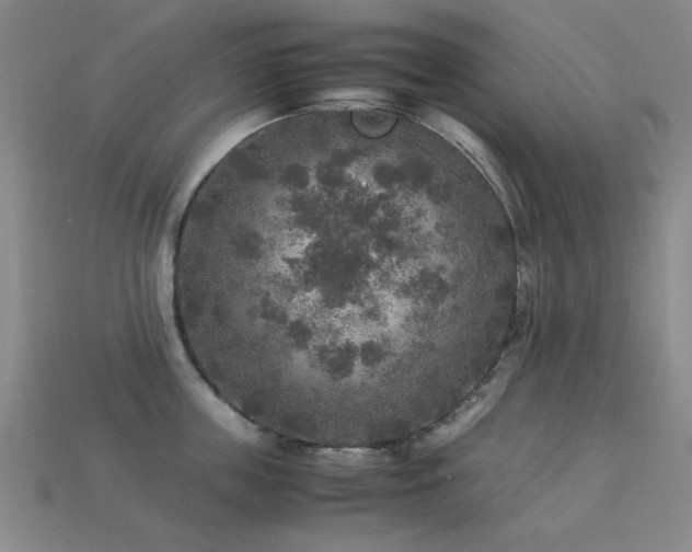 X0000113220859200909101149