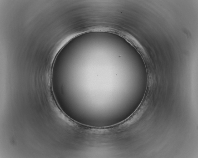 X0000113220860200909101149