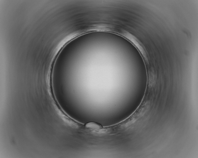 X0000113220861200909101149