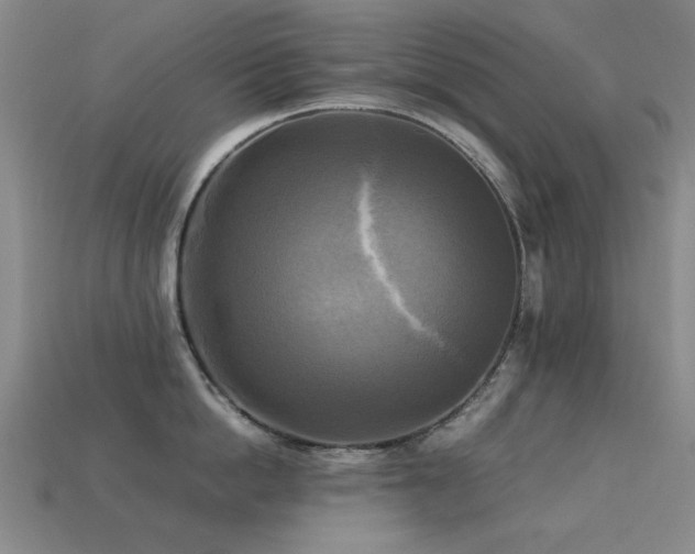 X0000113220862200909101149