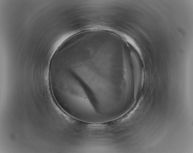 X0000113220863200909101149