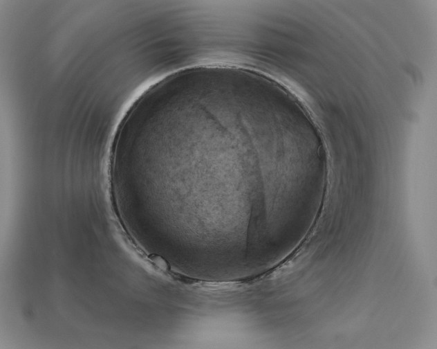 X0000113220864200909101149