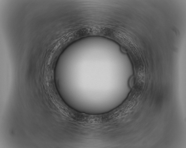 X0000113220865200909101148