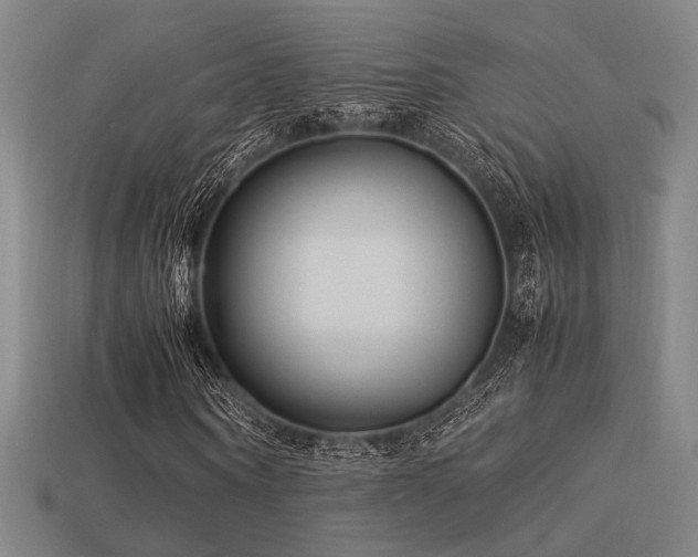 X0000113220866200909101148