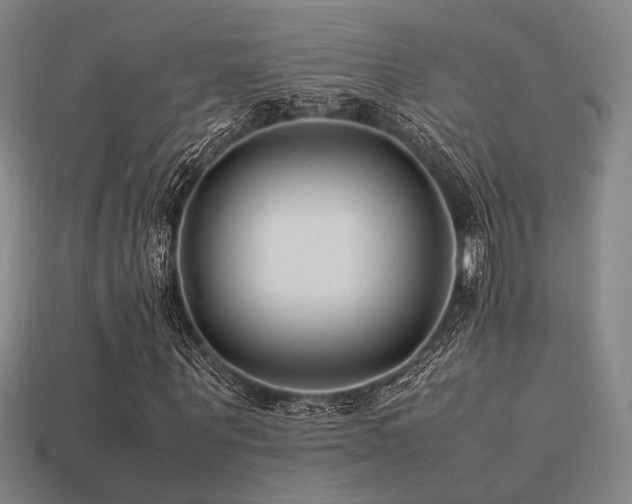 X0000113220867200909101148