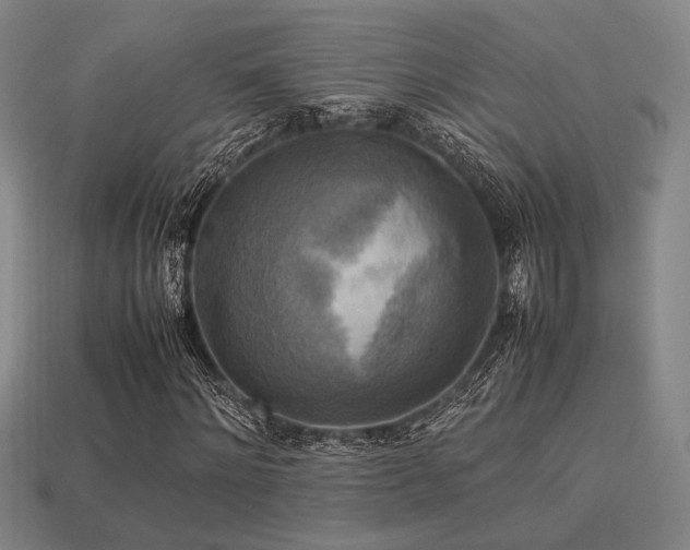 X0000113220868200909101148