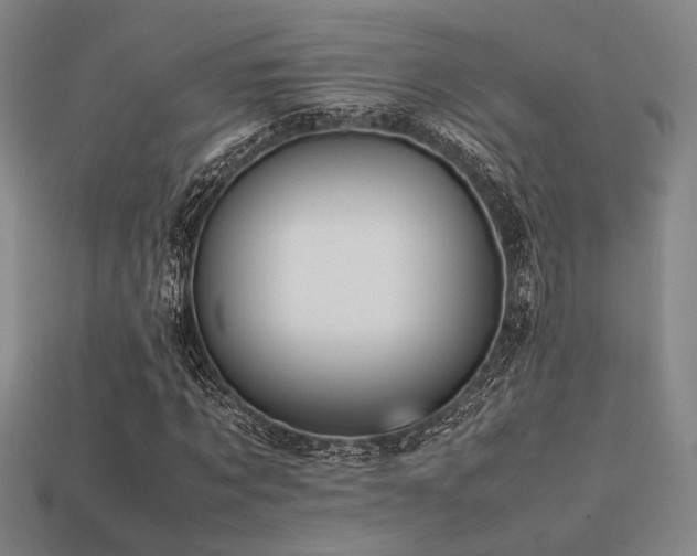 X0000113220869200909101148