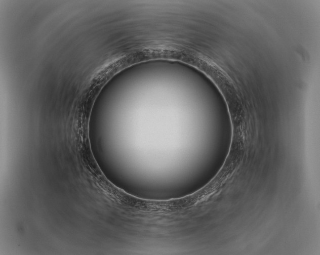 X0000113220870200909101148
