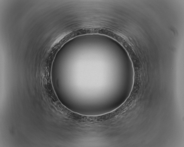 X0000113220871200909101148