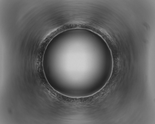 X0000113220872200909101148