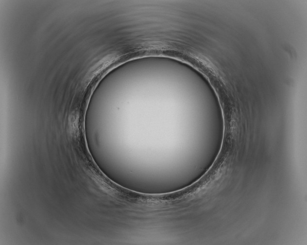 X0000113220873200909101148