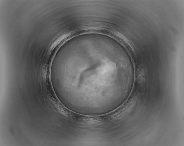 X0000113220874200909101148