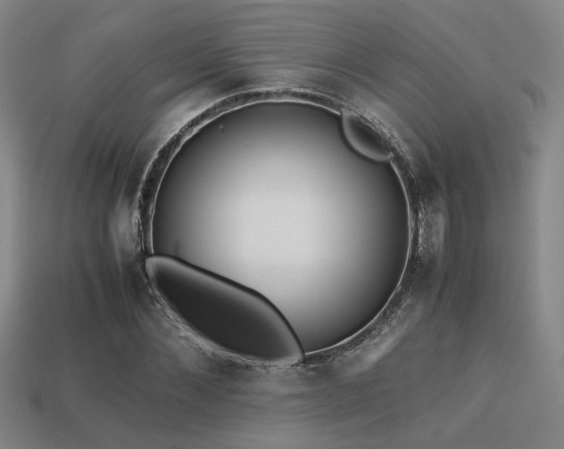 X0000113220876200909101148