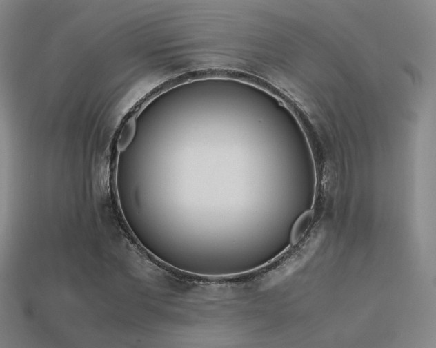 X0000113220877200909101148