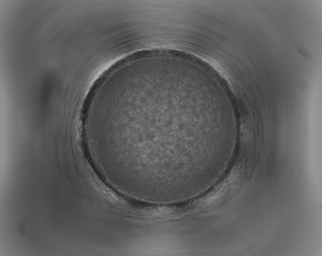 X0000113220879200909101148